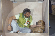 Südafrikanischer Löwenhund mit seinem Besitzer
