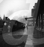rdb00017241