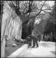 8. Mai 1945: Waffenstillstandstag in Genf