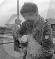 Schafscheid in Brienzwiler, 1941