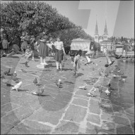 rdb00018706