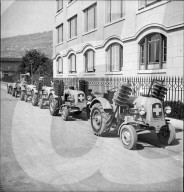 rdb00019257