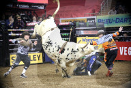 FEATURE - Harte Jungs auf wilden Rindern: Bullriding im Madison Square Garden