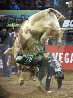FEATURE - Harte Jungs auf wilden Rindern: Bullriding im Madison Square Garden