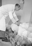 Fritz Kobel, 1943