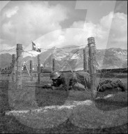 Bundesfeier; Soldaten zeigen ihre Wehrfähigkeit; 1940