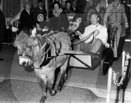 Willy Schmid mit seiner Frau im Eselswagen