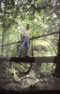 Hermann Britschgi, Blinder mit Blindenführhund auf Holzsteg 1992