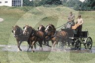 EMPFA; Training mit Vierspänner 1985