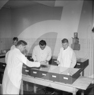 Gespendete Medikamente für Ugarn werden sortiert, Bern 1956