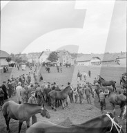 38. Marché-Concours Saignelégier, 1941