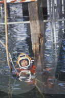 Wiederaufbau Kapellbrücke; Taucher bei Kontrolle von Stützpfosten 1994