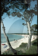 Badestrand auf Mallorca, 1976