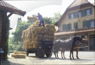 EMPFA; Pferdefuhrwerk wird mit Strohballen beladen 1990 
