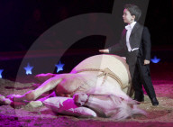Circus Knie, Première 2006: Ivan Frédéric Knie, Dressurnummer mit Pfert