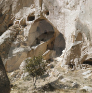 rdb00032593