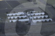 Optigal-Gelände: Notschlachtung wegen Hühnerhusten, 2006