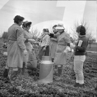 Frauen teilen Getränk aus; Ostermarsch 1966