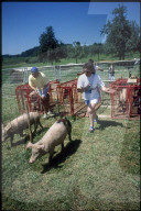 Drittes Kappeler Sau-Rennen 1990