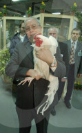 Kleintiere 05: Bundesrat Blocher mit Schweizer Huhn