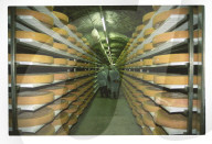 Käse Lagerhalle in Kaltbach 1995