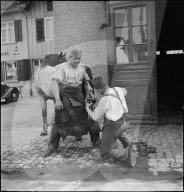 WK 2: Soldaten beschlagen Pferd, 1940