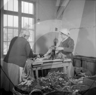 WK 2: Kriegswirtschaft; Sortierung von Altstoffen