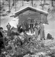 Dorfbewohner; Männer beim gemeinschaftlichen Holz fällen; 1945