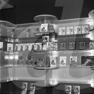 Bücherauslage in Sexshop 1971