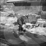 Berner Polizist mit Drogenhund auf der Suche nach Haschisch 1971