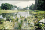 Gewächshäuser im Botanischen Garten Zürich 1986