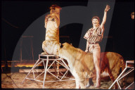 Zirkus Knie: Katijana Stanik mit Raubtieren, ca. 1985