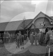38. Marché-Concours Saignelégier, Stute mit Fohlen, 1941