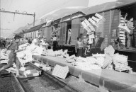 rdb00041700