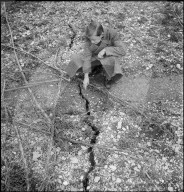 Erdbeben im Wallis, 1946