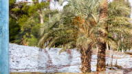 NEWS - Schnee in der Sahara