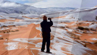 NEWS - Schnee in der Sahara