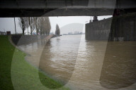 NEWS - Hochwasser auf dem Rhein