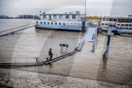 NEWS - Hochwasser auf dem Rhein