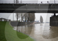 NEWS - Hochwasser auf dem Rhein