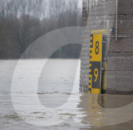NEWS - Hochwasser auf dem Rhein