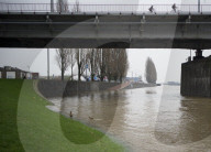 NEWS - Hochwasser auf dem Rhein