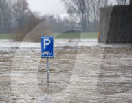 NEWS - Hochwasser auf dem Rhein