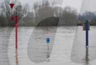 NEWS - Hochwasser auf dem Rhein
