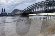 NEWS - Hochwasser auf dem Rhein