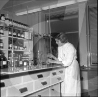 Bereitstellung von Bluttransfusionen für Ungarn, Bern 1956