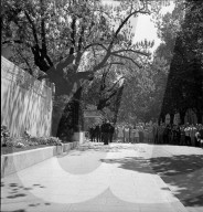 8. Mai 1945: Waffenstillstandstag in Genf