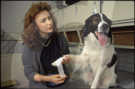 Susy Utzinger, Geschäftsführerin der Tierambulanz Schweiz 1991