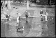 "Frühling" Ende Januar 1971