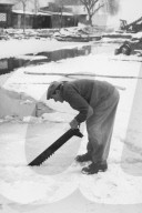Seegfrörni Neuenburger Hafen, 1956